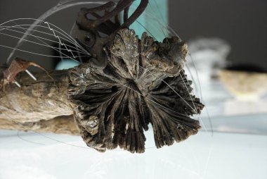 Parlak bir arkaplanda birden fazla nesnenin soyutlanması