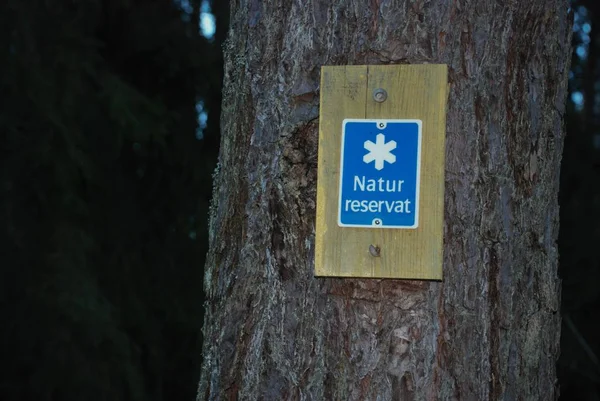 Bord Met Inscriptie Reserve Genageld Aan Een Boom Het Bos Stockafbeelding