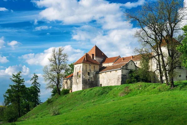 Svirzh Burg in der Ukraine — Stockfoto