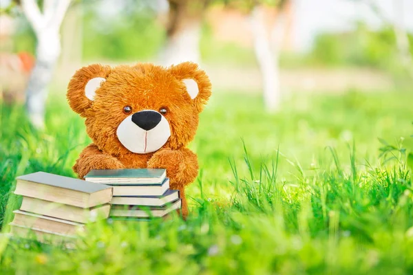 Speelgoed Beer zit met een boeken in tuin — Stockfoto