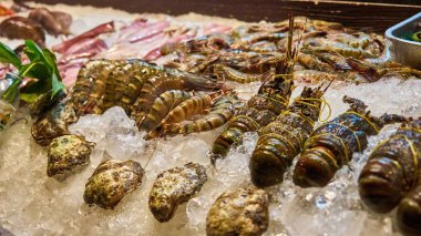 Taze ıstakoz ve karides. 