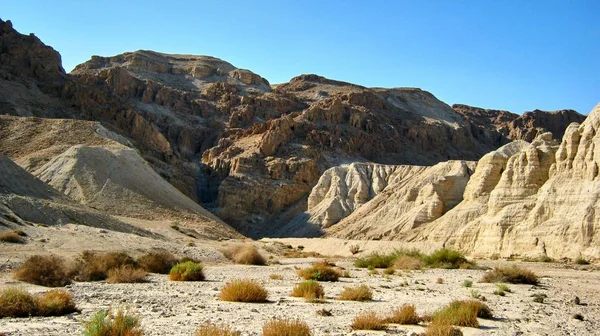 Kanyon Ein Avdat Necef Çölü'nde — Stok fotoğraf