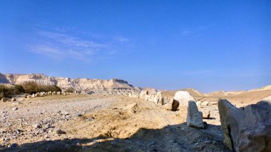 Kanyon Ein Avdat Necef Çölü'nde