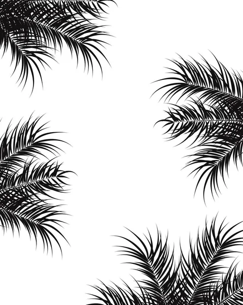 热带设计用黑色棕榈叶和白色背景上的植物 — 图库矢量图片