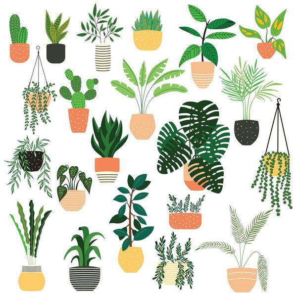 Collection of hand drawn indoor house plants on white background. Collection of potted plants. Colorful flat vector illustration