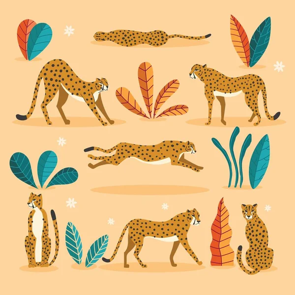 Sammlung Von Niedlichen Handgezeichneten Geparden Auf Rosa Hintergrund Stehend Streckend — Stockvektor
