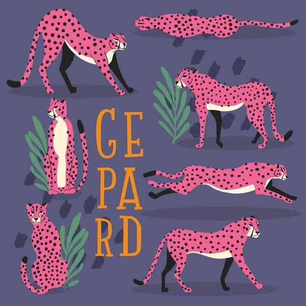 Verzameling Van Schattige Hand Getekende Roze Cheeta Donker Paarse Achtergrond — Stockvector