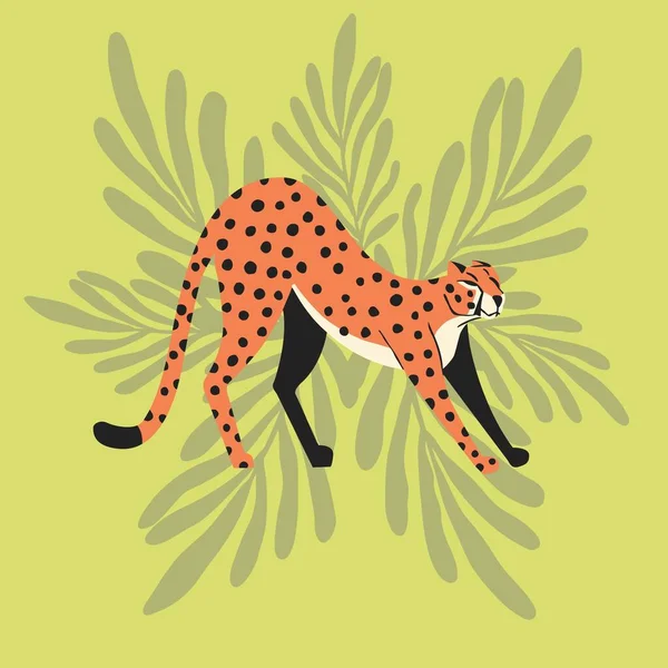 可爱的野生大猫猎豹伸展在薄荷绿色热带背景 平面矢量图解 — 图库矢量图片