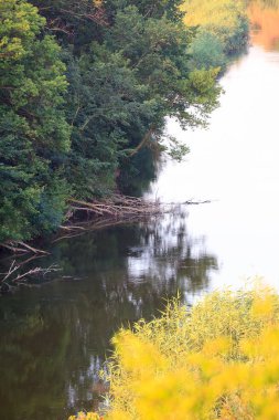 Nehrin kıyısında. Sonbahar, sarı yapraklar.