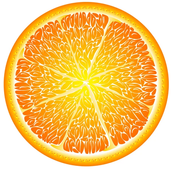 Naranja en un corte de cerca — Vector de stock