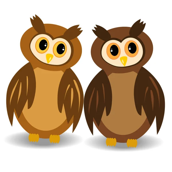Две коричневые совы с открытыми глазами смотрят друг на друга — стоковый вектор