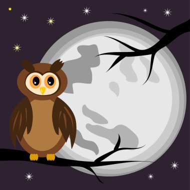 Baykuş gece dolunay karşı bir ağaç dalı.