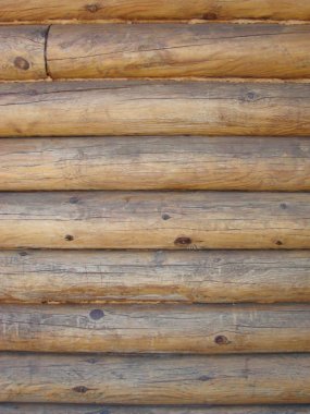 Çok sayıda paralel ahşap kütük dokusuna sahip kalkan.
