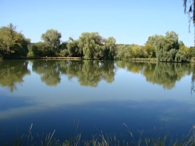 İyi net bir gün su, kırsal ağaçlarda yansıması bir görünüm oranları. Ukrayna, Poltava region, Gorbanovskie gölleri