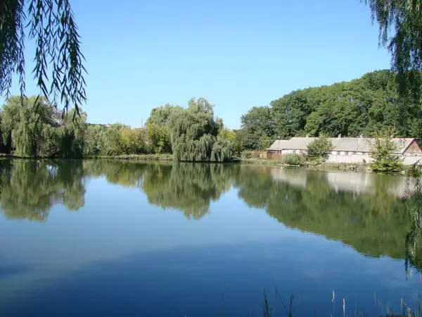 率の良い晴れた日に、水、田舎の木の反射のビュー。ウクライナのポルタヴァ地域、Gorbanovskie 湖 — ストック写真