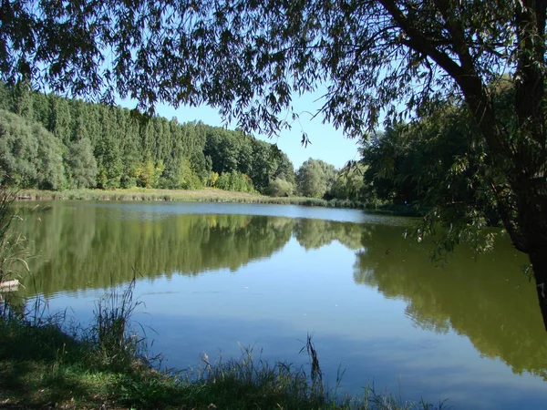 在晴朗的日子里看利率, 在水中的树木的倒影, 在农村。乌克兰、波尔塔瓦地区、戈尔巴诺夫斯基湖 — 图库照片