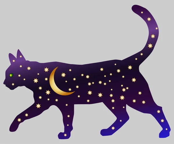 Kočka noc. Cat siluety vybarvený noční obloha s hvězdami a mladý měsíc — Stockový vektor