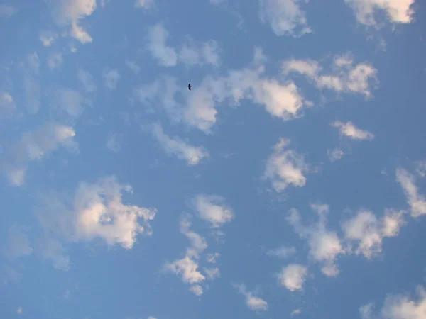 Bellissimo cielo blu con nuvole sfondo Cielo nuvole.Cielo con nuvole tempo natura nuvole blue.Cielo blu con nuvole e sole. — Foto Stock