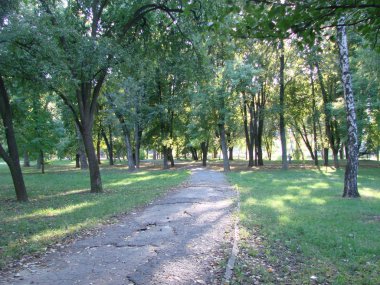 Güneşli park, park, orman, doğal peyzaj tropic akşam. Ukrayna, Poltava, Park Eternal Flame Anıtı çevresinde