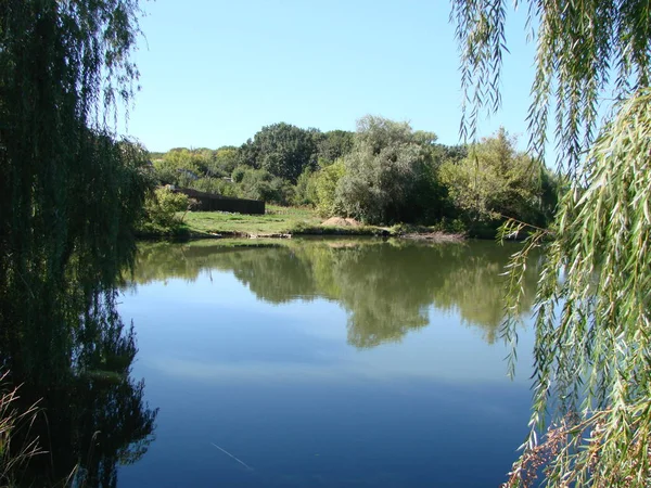 Utsikt över priserna på en fin klar dag, reflektion av träd i vattnet, på landsbygden. Ukraina, Poltava region, Gorbanovskie sjöar — Stockfoto