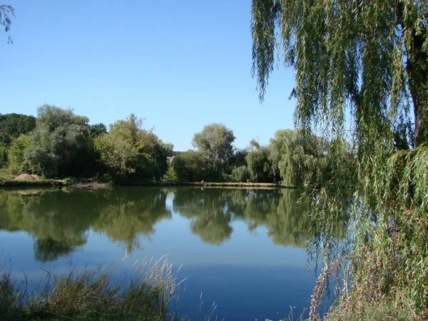 Utsikt över priserna på en fin klar dag, reflektion av träd i vattnet, på landsbygden. Ukraina, Poltava region, Gorbanovskie sjöar — Stockfoto