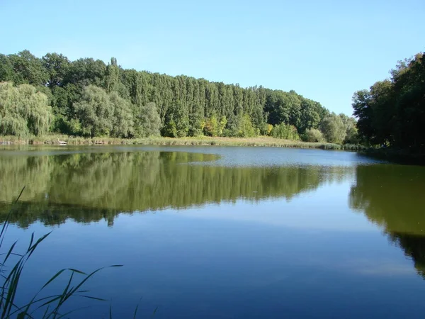 Pemandangan dari tingkat pada hari yang cerah, refleksi pohon di air, pedesaan. Ukraina, daerah Poltava, Gorbanovskie danau — Stok Foto