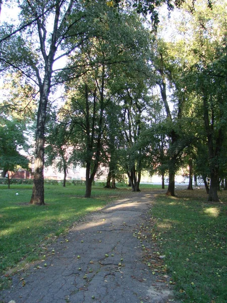 Napos este a parkban, tropic park, erdő, természetes táj. Ukrajna Poltava, Park, ezen a környéken: örök láng emlékműve — Stock Fotó