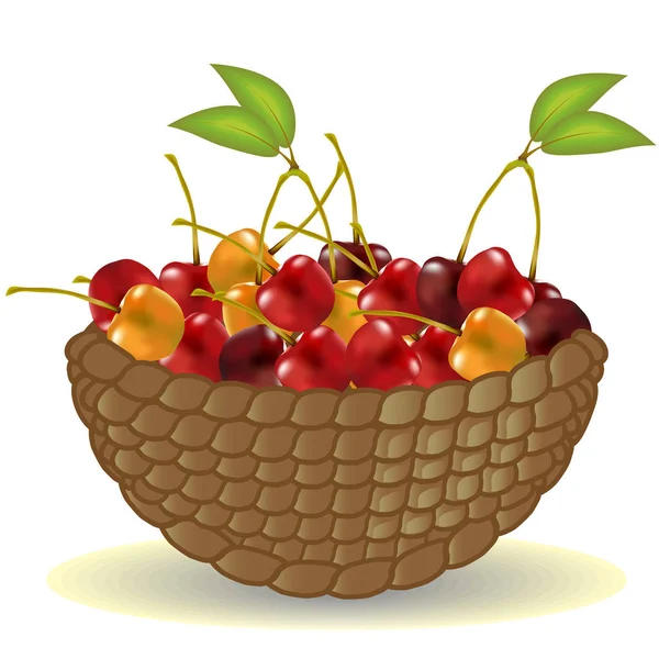 Basket from the vine without a handle full of ripe cherries, berries — Stock Vector