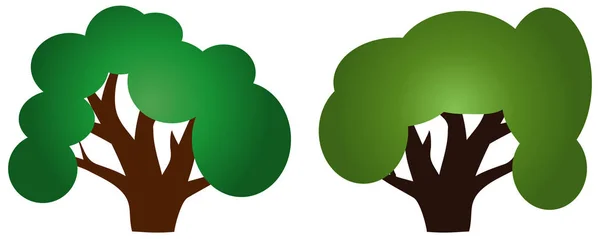 Two trees with green crowns and thick trunks — Stock Vector