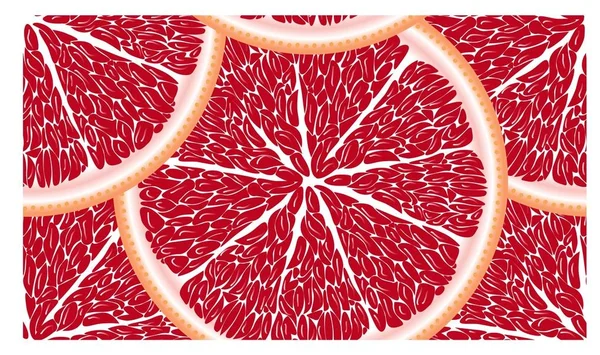 Wzór z dojrzałych, jasne, soczyste, kolorowe, duże plasterków cytrusowych cytryna, cytryna, pomarańcza, grapeprut — Wektor stockowy