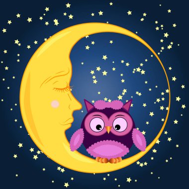 Bir yuvarlak uyuyan Hilal yıldız ile gece gökyüzünde oturan sevimli çizgi baykuş