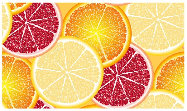 Seamless pattern with ripe, bright, juicy, colorful, large slices of citrus lime, lemon, orange, grapeprut — Stock Vector