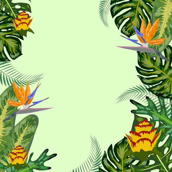 Tropical frame, flowers, monstera leaves, background, place for 