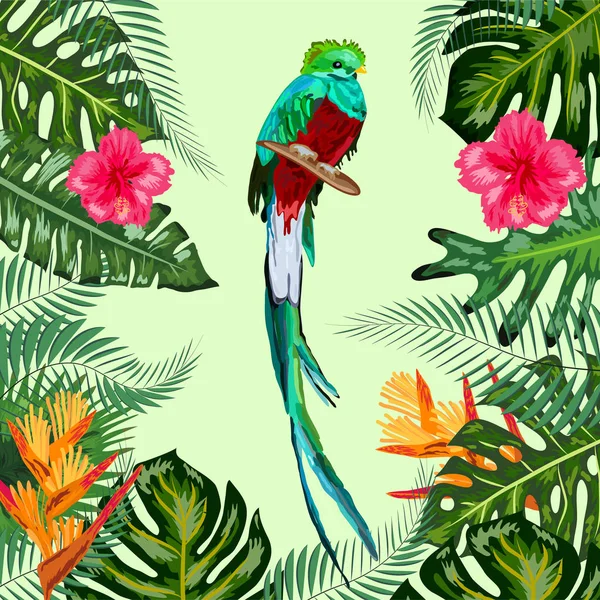 Vodní barva zelená quetzal pták s dlouhým ocasem na bílém backgr — Stockový vektor