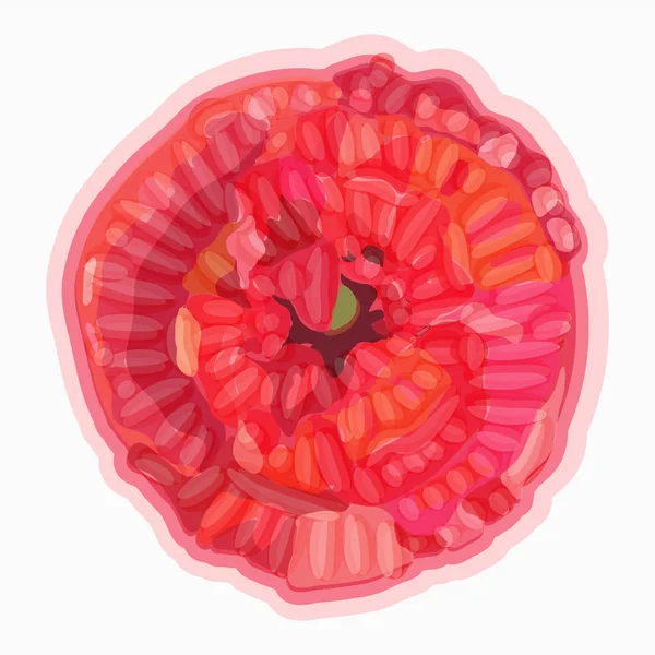 Poppy. Ilustração floral aquarela. Elemento decorativo floral — Vetor de Stock