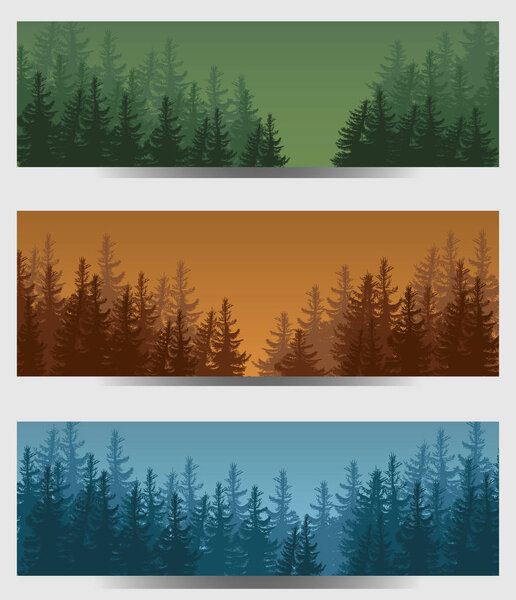 illustration of Coniferous Forest. Travel infographic.