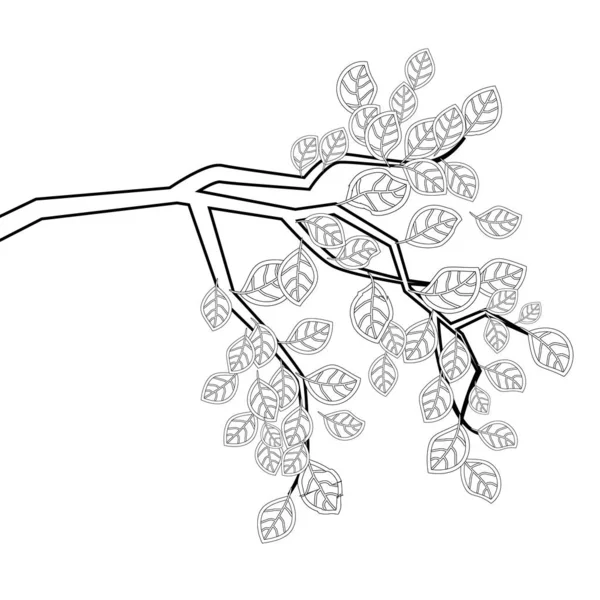 Färbung Zweig mit Blumen für Erwachsene. künstlerisch von Hand gezeichnet — Stockvektor