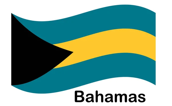 Bahamas zászló a függetlenség napja és infografika — Stock Vector