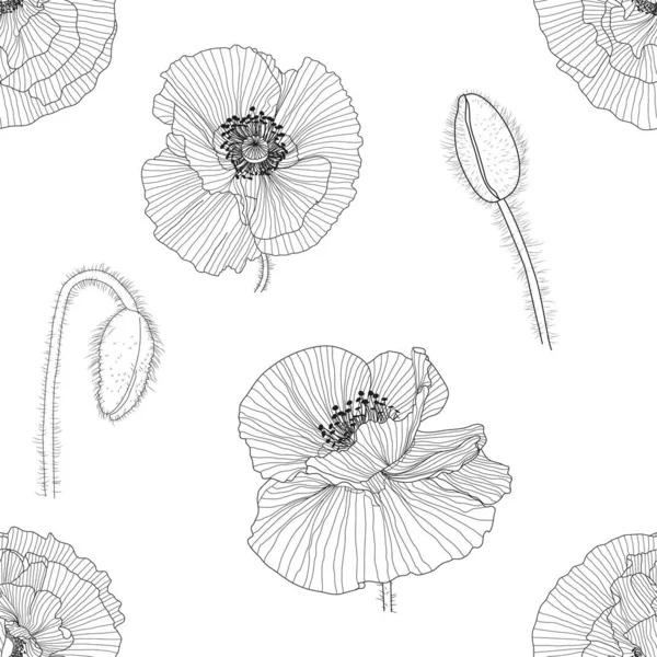 Patrón de línea con amapolas. Fondo floral monocromo wallpape — Vector de stock