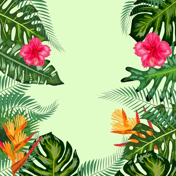 Cadre tropical, fleurs, feuilles de monstère, fond, lieu pour — Image vectorielle