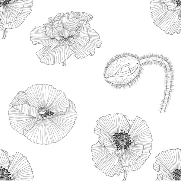 Patrón sin costuras de amapolas en blanco y negro — Vector de stock