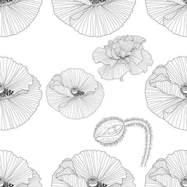 Patrón de línea con amapolas. Fondo floral monocromo wallpape — Vector de stock