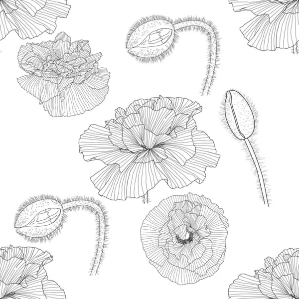 Seamless pattern of black and white poppies — Stock Vector