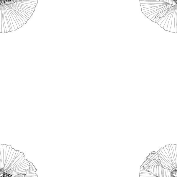 Seamless pattern of black and white poppies — Stock Vector