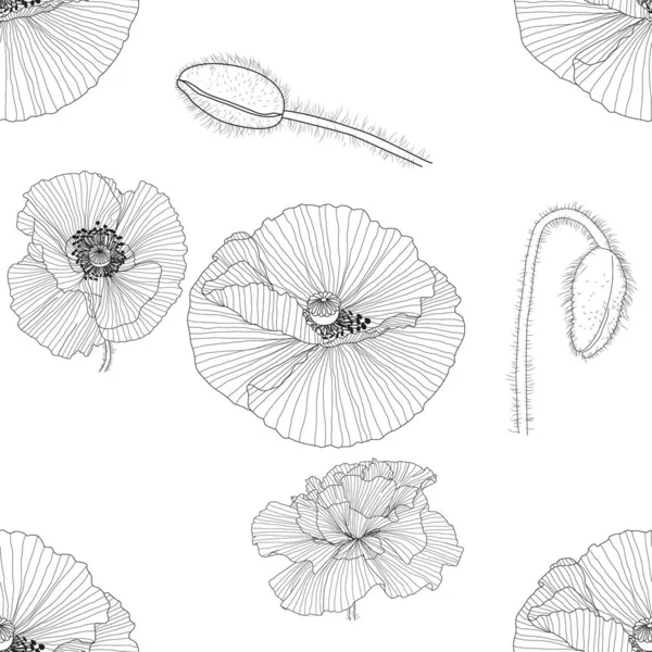 Patrón de línea con amapolas. Fondo floral monocromo wallpape — Vector de stock