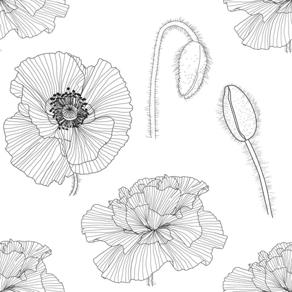 Seamless pattern of black and white poppies — Stock Vector