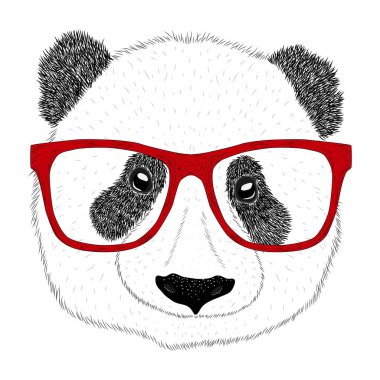 Gözlüklü Panda 'nın portresi, el çizimi illüstrasyon
