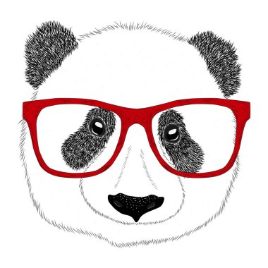 Gözlüklü Panda 'nın portresi, el çizimi illüstrasyon