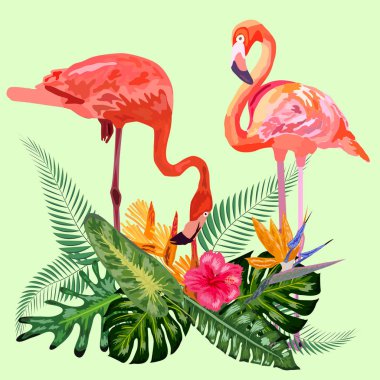 Egzotik yağmur ormanları, orman palmiye ağaçları ve açgözlülükle süslenmiş.