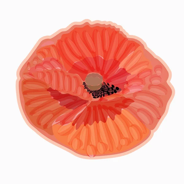 Mohn. Aquarell florale Illustration. Florales dekoratives Element — Stockvektor